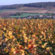 Champagne Heucq Père & Fils