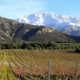 Domaine Culombu. Clos Culombu