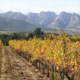 Domaine D'alzipratu