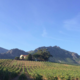 Domaine A Ronca