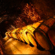 Calvados Morin
