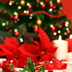 Un Noël réussi passe par la décoration !